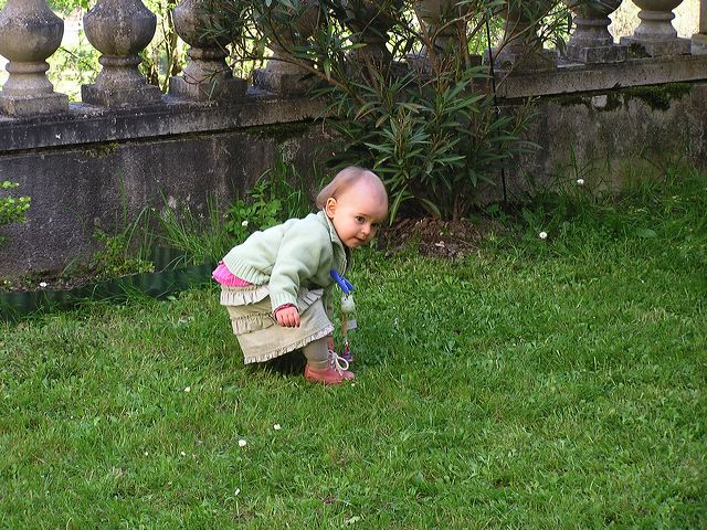 p1010010.jpg