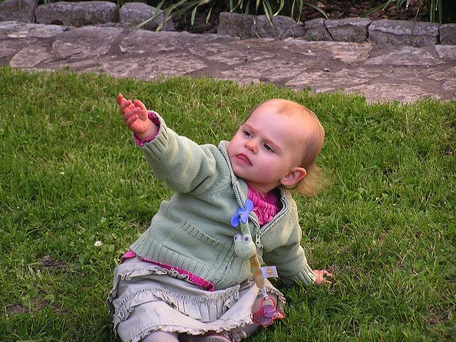 p1010032.jpg