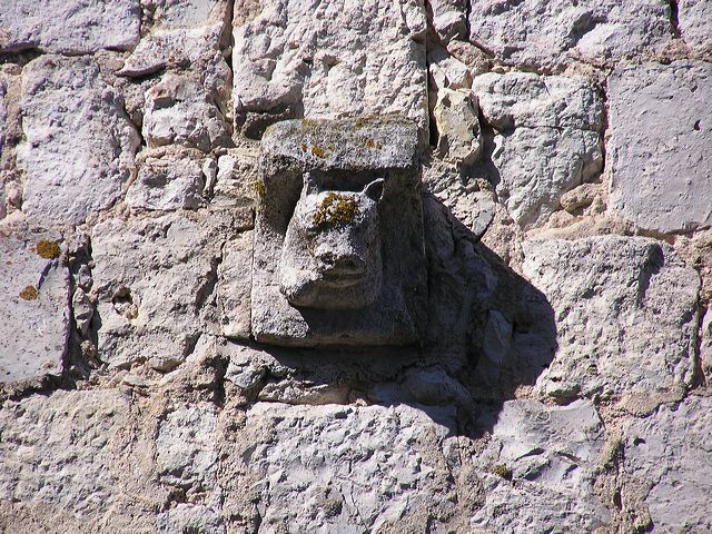 p1010046.jpg