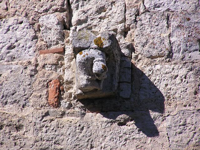 p1010047.jpg
