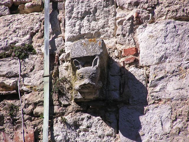 p1010048.jpg